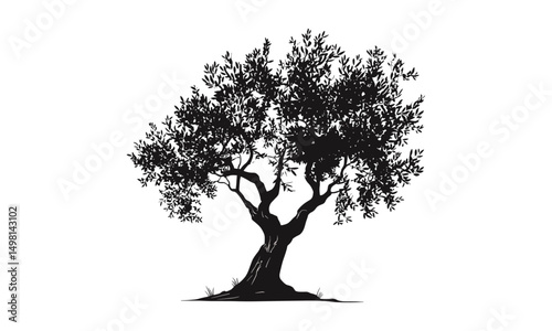 Vector illustration of olive tree silhouette isolated on white background, olive branch emblem, rustic countryside motif, organic farming icon, natural landscape design.