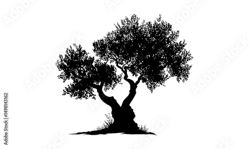 Olive tree silhouette isolated on white background, vector illustration, evergreen tree symbol, herbal plant graphic, peaceful nature icon, Mediterranean flora, olive oil concept.