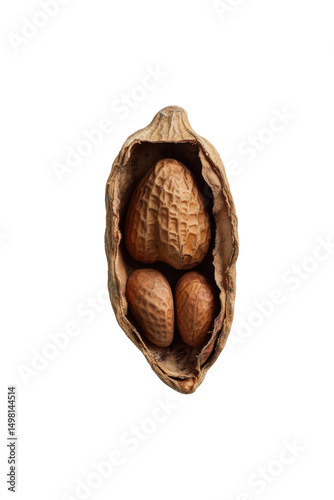 Isolated Peanut with Three Kernels