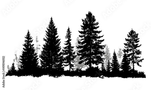 Silhouettes of pine trees, evergreen forest landscape, conifer woods scenery vector illustration, tree outline nature art, wild forest horizon, wilderness line drawing, svg vector illustration.