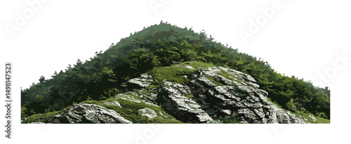Rocky mountain hill isolated with green forest, vector illustration, scenic wilderness, natural landscape, hiking adventure, eco tourism destination, mountain range, outdoor nature view.