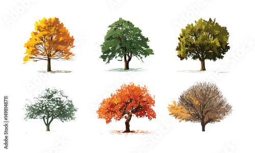 Seasonal tree vector illustration white background, spring bloom, summer leaves, autumn colors, winter bare branches, environmental nature design, seasonal flora concept, botanical growth.