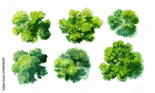 Watercolor green tree top view vector illustration, isolated on white background for landscape design, architectural plans, garden layout, environment graphics, nature inspired art.