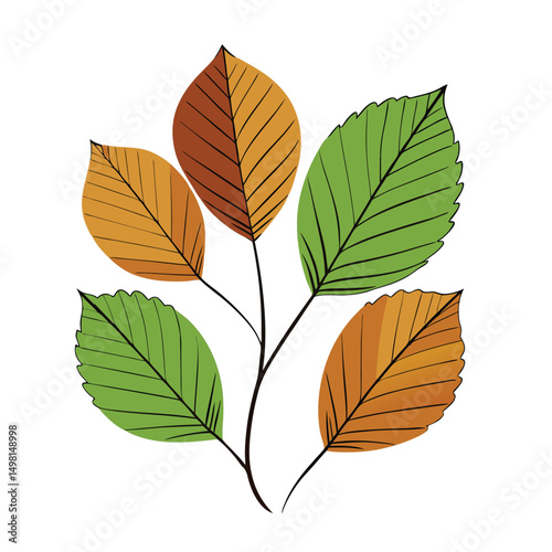 Leaf vector illustration. American beech leaf  leaves isolated on white. green leaves on white background . Collection of linden leaf logo, icon vector design.
