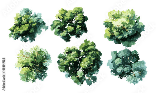 Abstract watercolor vector illustration green tree top view isolated, architecture layout, landscape plan, garden and environment elements, natural scenery art for design and planning.