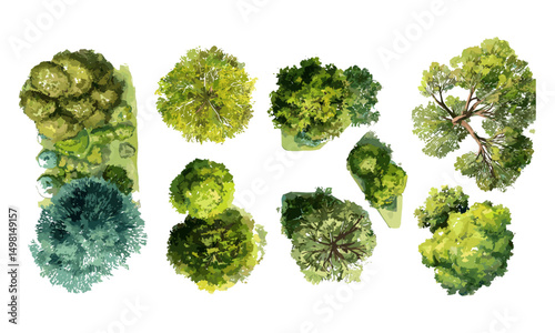 Abstract watercolor tree top view, landscape plan, architecture layout, vector illustration, garden design, urban planning, aerial nature pattern, greenery textures, ecological concept.