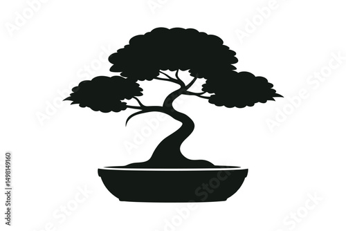 bonsai tree isolated on white