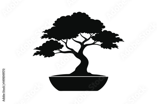 bonsai tree isolated on white