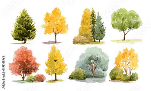 Autumn trees and bushes watercolor sketches, hand drawn tree illustrations for landscape design, vector illustration, isolated on white background, nature elements, seasonal flora.