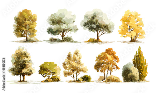 Hand drawn watercolor trees, bushes set for landscape design, vector illustration, isolated on white, autumn forest elements, natural environment, garden planning, seasonal vegetation.