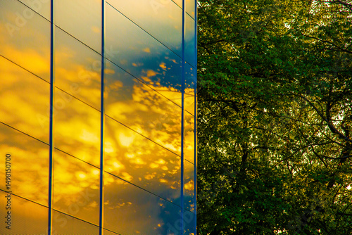 The rays of the setting sun filtering through the green tree canopy and falling onto the metal surface of the building, an abstract background.