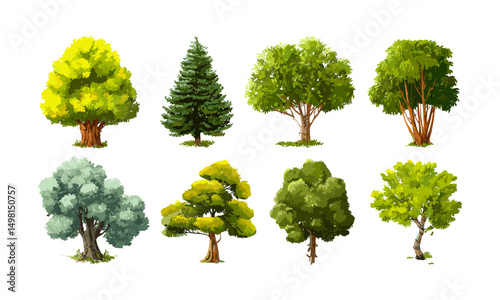 Vector illustration of woodland and park trees, natural scenery, eco-friendly design, forest foliage, outdoor nature background, tree cluster, green environment, botanical landscape.