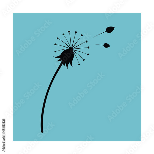 dandelion on a black background