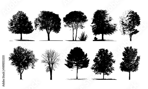 nazimrocks2024_Set_of_trees_in_silhouettes._Also_in_vector_fo_3023c812-81f2-4d02-bdfb-521a4bd8ce65_2