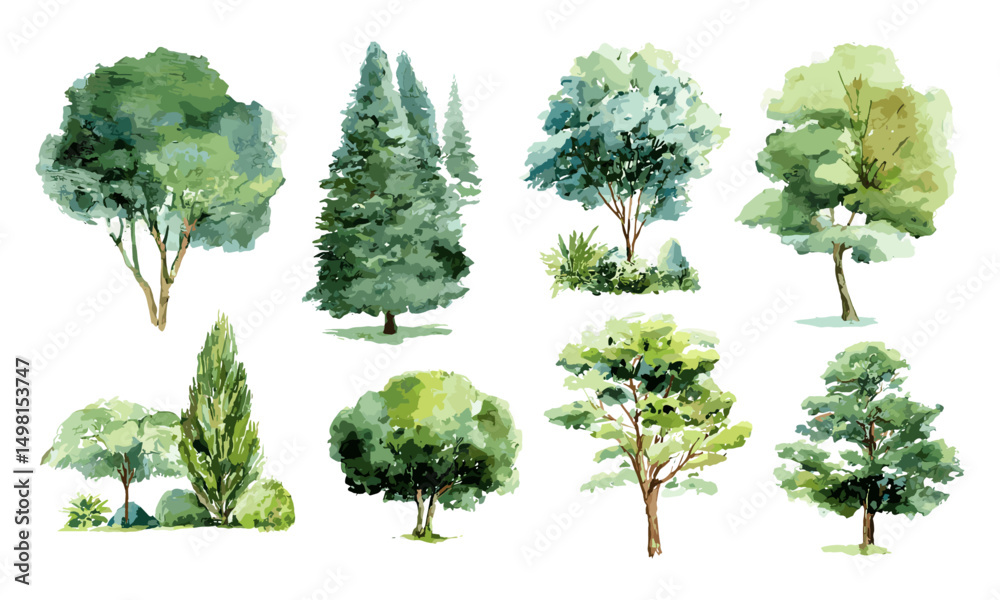 Fototapeta premium Vector illustration of watercolor green tree isolated on white background, botanical elements for garden and environment, landscape design, spring section, nature drawing.