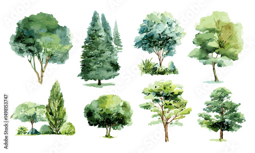 Vector illustration of watercolor green tree isolated on white background, botanical elements for garden and environment, landscape design, spring section, nature drawing.