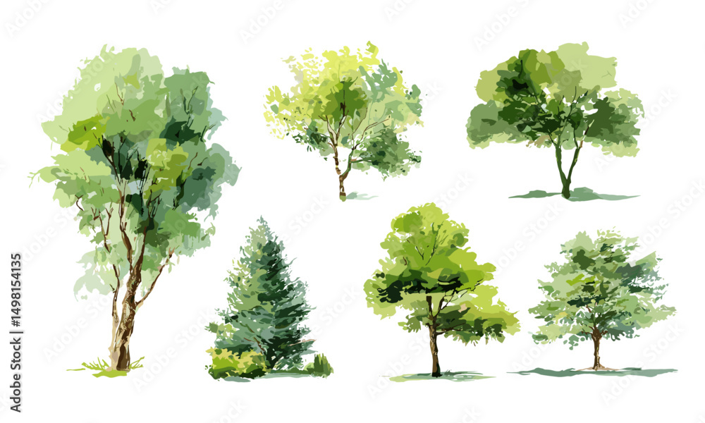 Obraz premium Watercolor trees collection, vector illustration, green tree set isolated on white background, botanical elements for garden, landscape and architecture drawing, spring environment design.