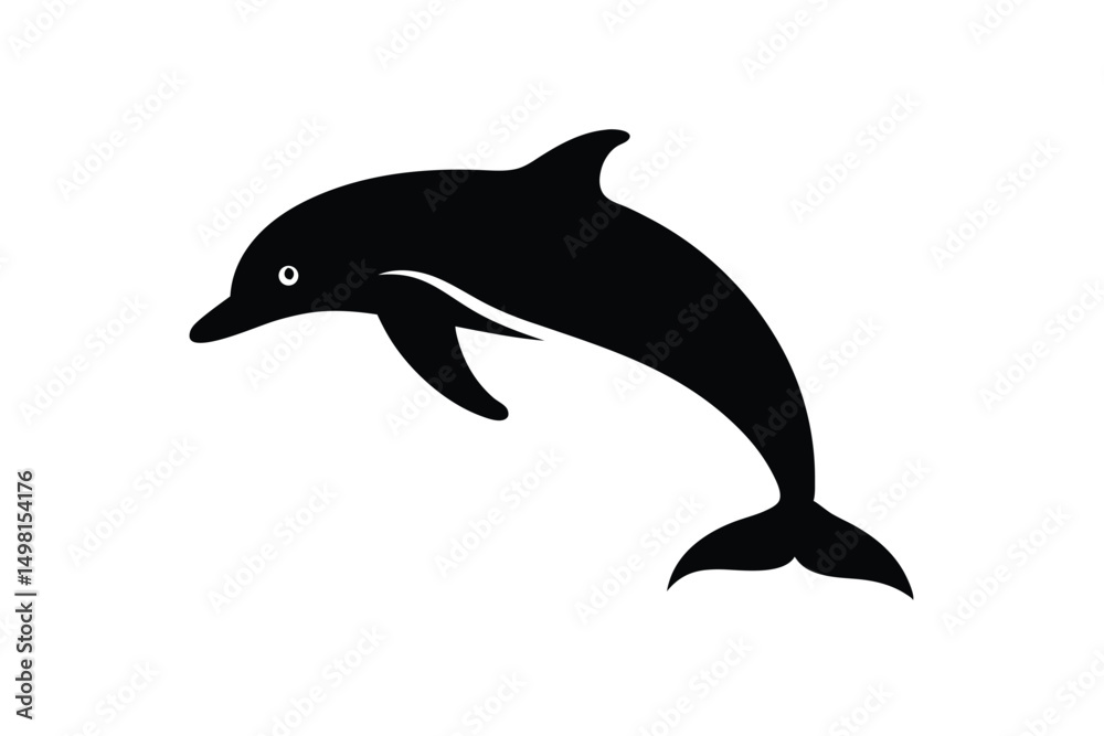 dolphin isolated on white background dolphin isolated on white background