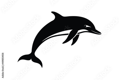 dolphin isolated on white background