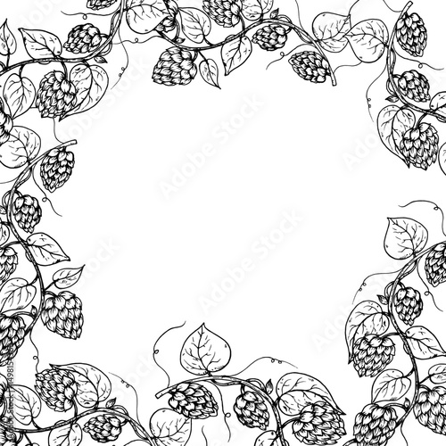 Vector common hop frame, logo, template. Graphic ink, eco, organic Humulus lupulus branch with leaves and cones illustration isolated on background. Hand drawn line sketch. For designers, prints, logo