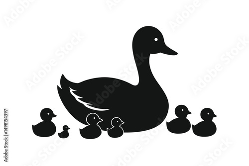 duck and ducklings