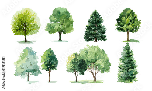 Vector illustration of watercolor green trees collection, natural landscape elements, eco theme, wilderness background, lush foliage, summer trees, rustic nature artwork, plant decor.
