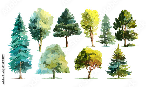 Vector illustration of watercolor forest trees set, hand-painted nature collection, green foliage art, woodland plants design, artistic tree silhouettes, outdoor scenery graphics.