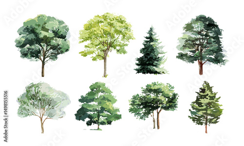 Set of isolated watercolor trees on white, autumn forest scene, hand painted nature, greenery design, vector illustration, outdoor landscape, tree silhouettes, environmental art.