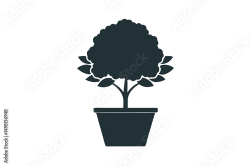 tree in a pot