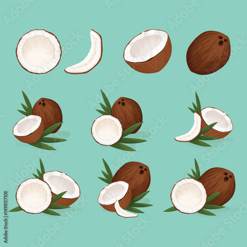 Set of whole and sliced coconuts with palm leaves in vector style