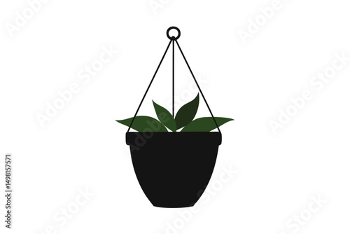 plant in a pot