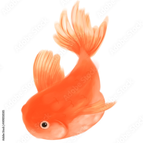 goldfish isolated on white background