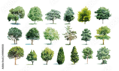 Landscape Design Elements, Watercolor Tree Collection, Botanical Illustration, Green Canopy, Urban Planning, Vector Illustration, Tree Mapping, Garden Layout, Sustainable Landscape, Aerial View Trees.