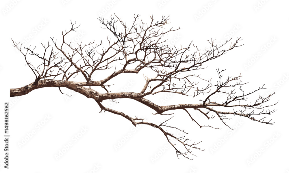 Fototapeta premium Isolated tree branch on white background, vector illustration, natural wood limb, botanical detail, forest nature element, garden twig, autumn branch, rustic plant.