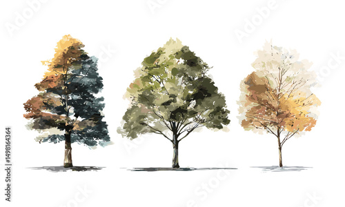 Watercolor tree vector illustration, hand drawn minimal style painting, side view, tree elements set for architecture and landscape design, seasonal art, natural environment.