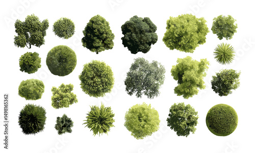 Collection of lush plants, trees from above, tropical foliage, exotic greenery, botanical garden elements, jungle canopy view, natural environment, vector illustration.