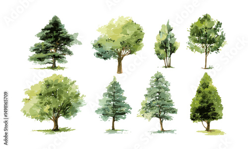 Trees set hand drawn watercolor vector illustration, perfect for architecture, garden plans, landscape design, environmental art, urban greenery, nature inspired decorative elements.