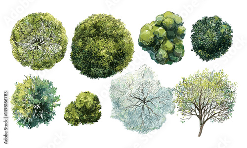 Vector illustration of abstract watercolor tree top view isolated on white background for landscape plan, architecture layout drawing, garden design, environment elements, nature art.
