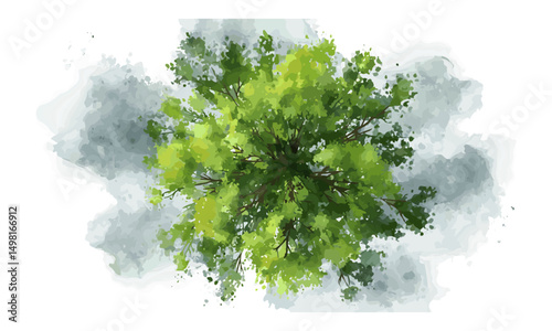 Watercolor tree top view vector illustration abstract isolated for landscape plan, architecture drawing, garden environment, outdoor design, natural scenery, eco-friendly layout, greenery elements.