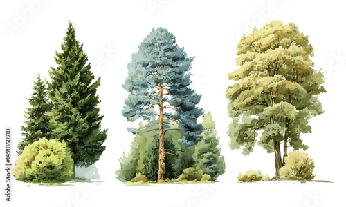 Vector illustration watercolor tree side view, green pine, blue spruce, lush ash, beige bush, forest trees EPS, hand drawn set, nature landscape, botanical design, outdoor foliage.