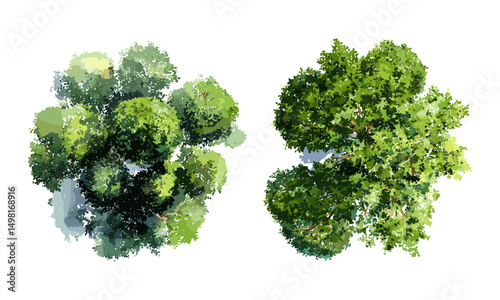 Vector illustration tree top view watercolor isolated on white background for landscape plan, architecture layout drawing, garden environment, green grass, outdoor nature concept.