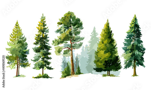 Green forest pine trees, watercolor mountain landscape vector illustration, wilderness scene, outdoor nature view, eco landscape, forest canopy, fresh natural environment.
