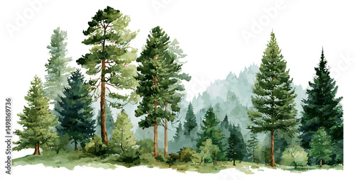 Mountain landscape, forest trees, green pine woodland, watercolor nature illustration, vector illustration, serene forest scenery, natural environment, hiking forest view, eco wilderness.