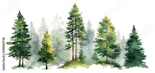 Woodland pine trees, watercolor forest illustration, mountain nature, green landscape, vector illustration, natural wilderness, scenic outdoors, tranquil environment, forest habitat.