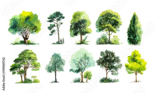 Green tree watercolor set, hand painted forest illustrations isolated on white, vector illustration, seasonal greenery, eco art, nature background, wilderness theme, calm scenery.