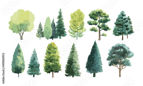 Vector Illustration, Watercolor Trees, Mixed Green Foliage, Pine Trees, Natural Environment, Forest Artwork, Seasonal Greenery, Nature Backgrounds.