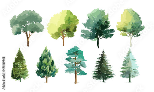 Watercolor Tree Illustrations, Green Foliage, Evergreen Trees, Forest Landscape, Nature Elements, Vector Illustration, Botanical Art, Seasonal Plants, Natural Scenery. christmas tree