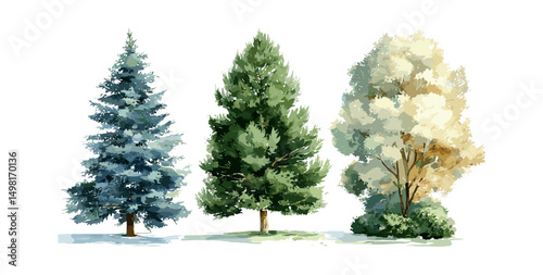 Watercolor pine tree set, blue spruce, lush ash, beige bush, green forest plants, nature design elements, vector illustration, botanical art, woodland scenery.