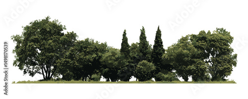 A group of green trees, botanical elements, natural forest composition, vector illustration, tree cluster png, eco foliage design, wilderness scenery, outdoor nature background.