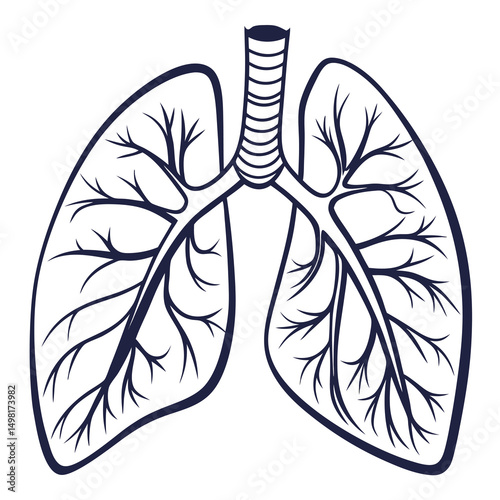 Lungs icon vector on white background. Adobe Illustrator Artwork